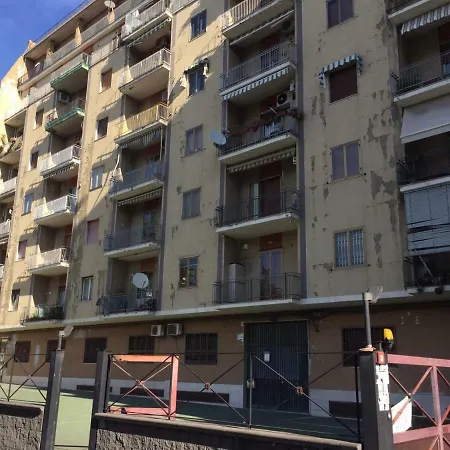 Cucchiara Katanya